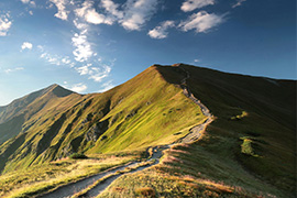 Legal Practice Management